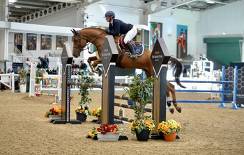 Michaela Scott wins the SEIB Winter Novice Qualifier at Aintree Equestrian Centre